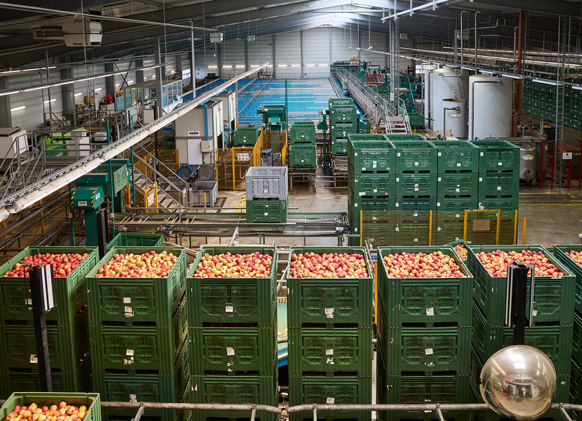 La tecnologia dei sensori Leuze garantisce sicurezza e efficienza nei processi di selezione e confezionamento delle mele 